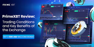 PrimeXBT vs Pocket Option Which Trading Platform is Better PrimeXBT vs Pocket Option Which Trading Platform is Better